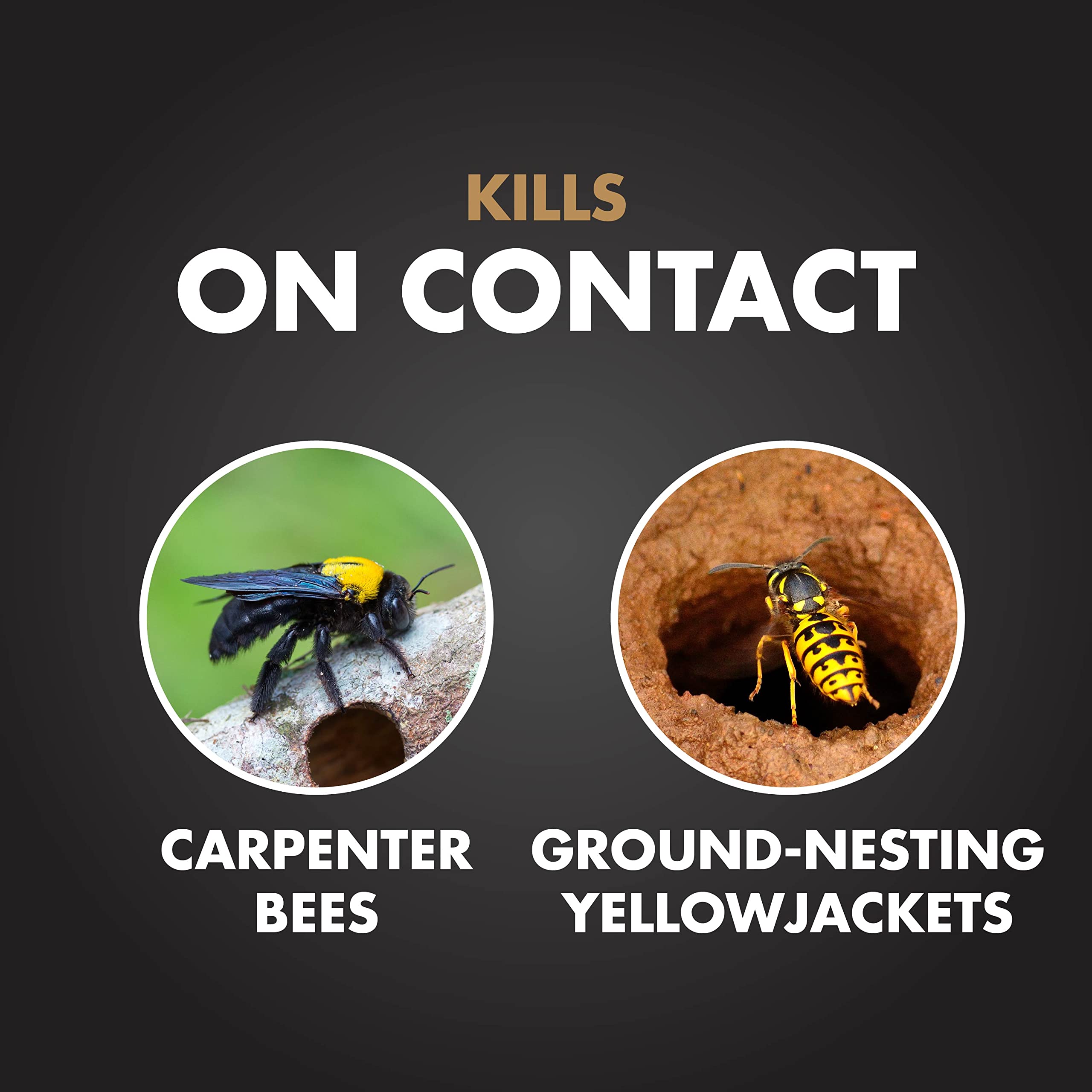 Spectracide Carpenter Bee and Ground-Nesting Yellowjacket Killer Foaming Aerosol 16 Ounces, Expands to Where Insects Live, 3 Pack - Image 3