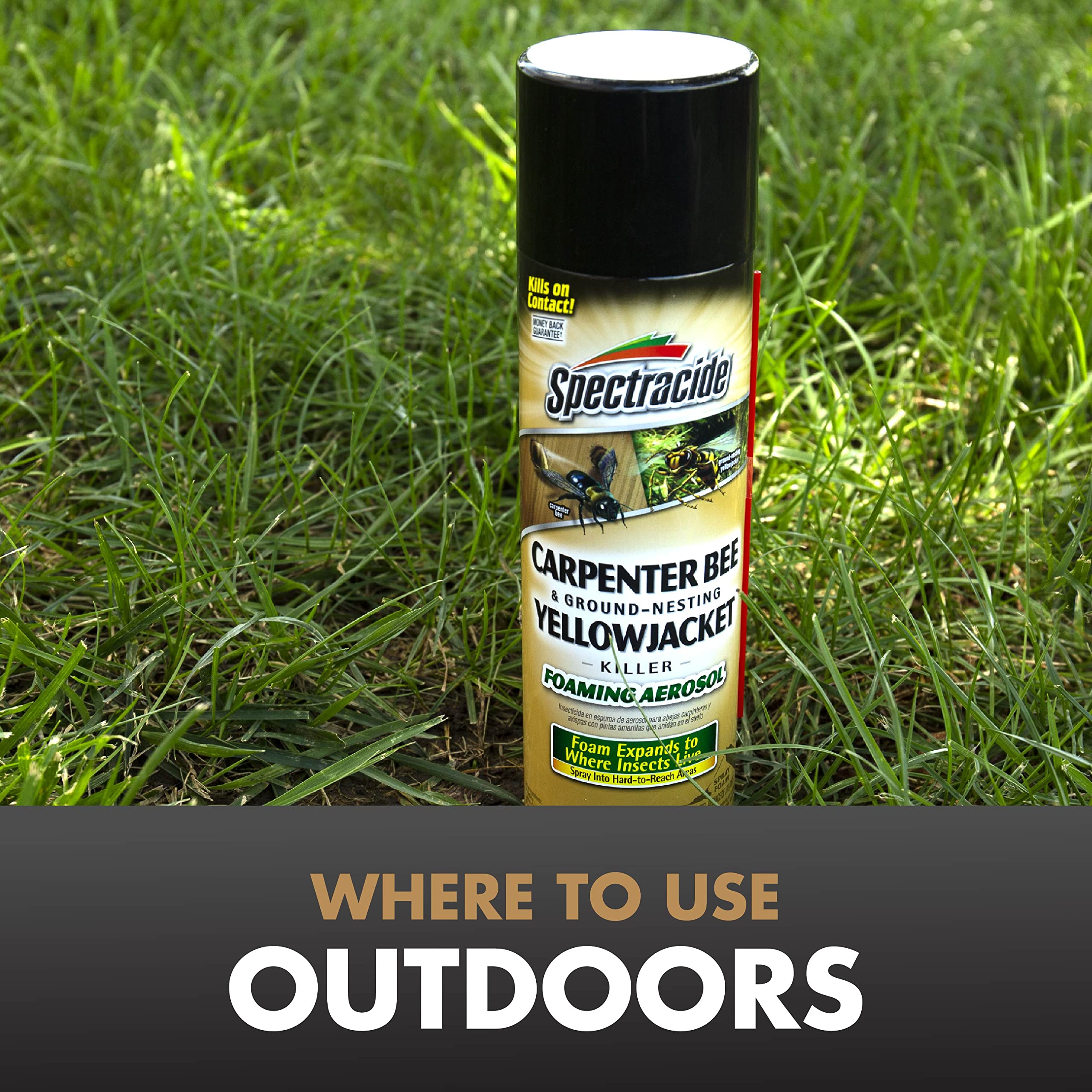 Spectracide Carpenter Bee and Ground-Nesting Yellowjacket Killer Foaming Aerosol 16 Ounces, Expands to Where Insects Live, 3 Pack - Image 6