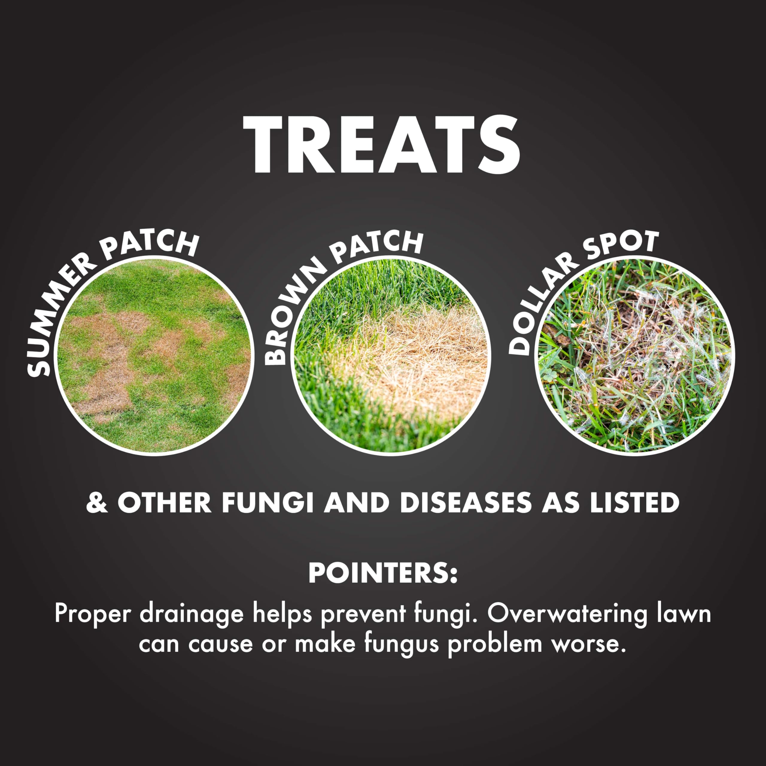 Spectracide Immunox Fungus Plus Insect Control For Lawns 32 Ounces, Dual Action, Hose-End Concentrate - Image 4