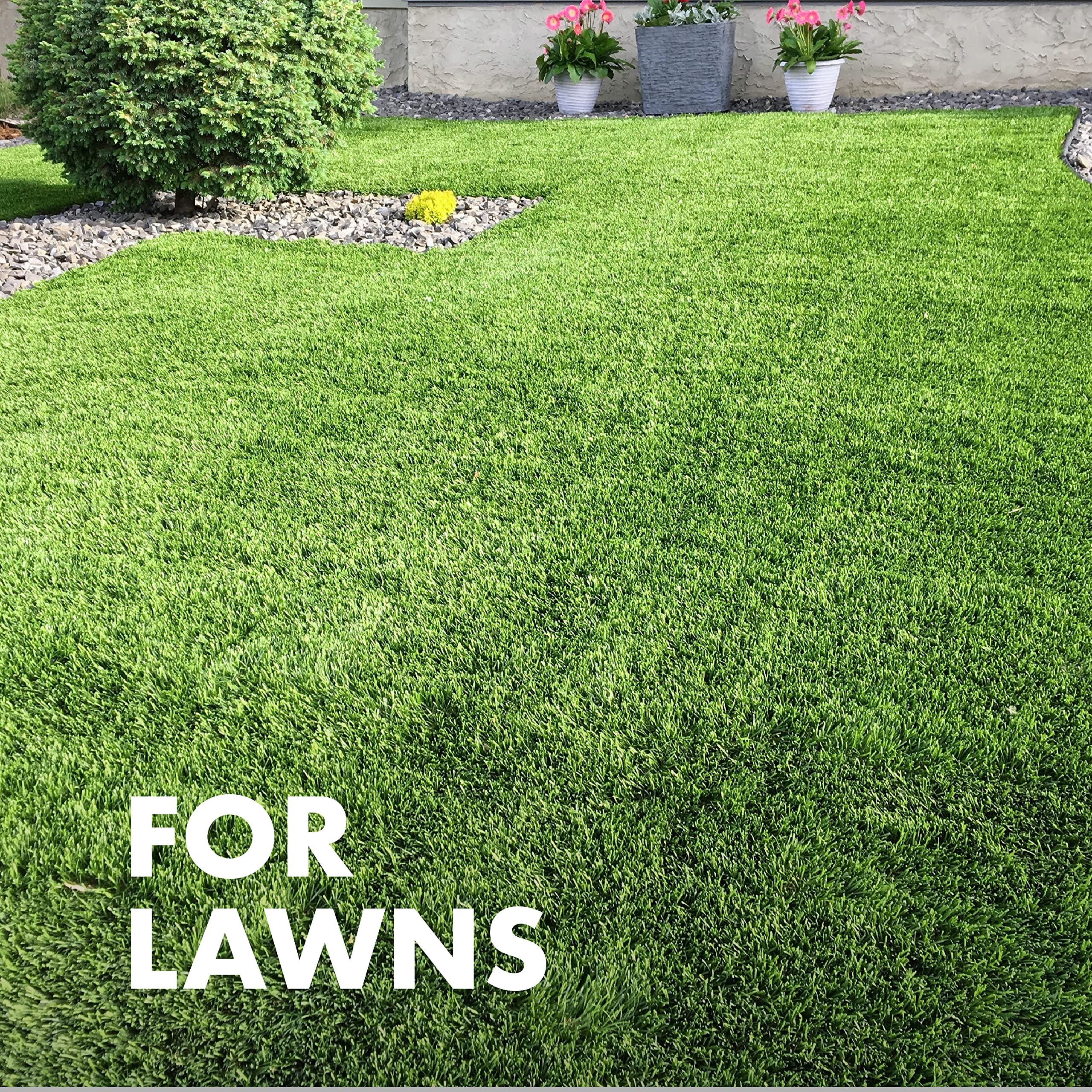 Spectracide Immunox Fungus Plus Insect Control For Lawns 32 Ounces, Dual Action, Hose-End Concentrate - Image 6