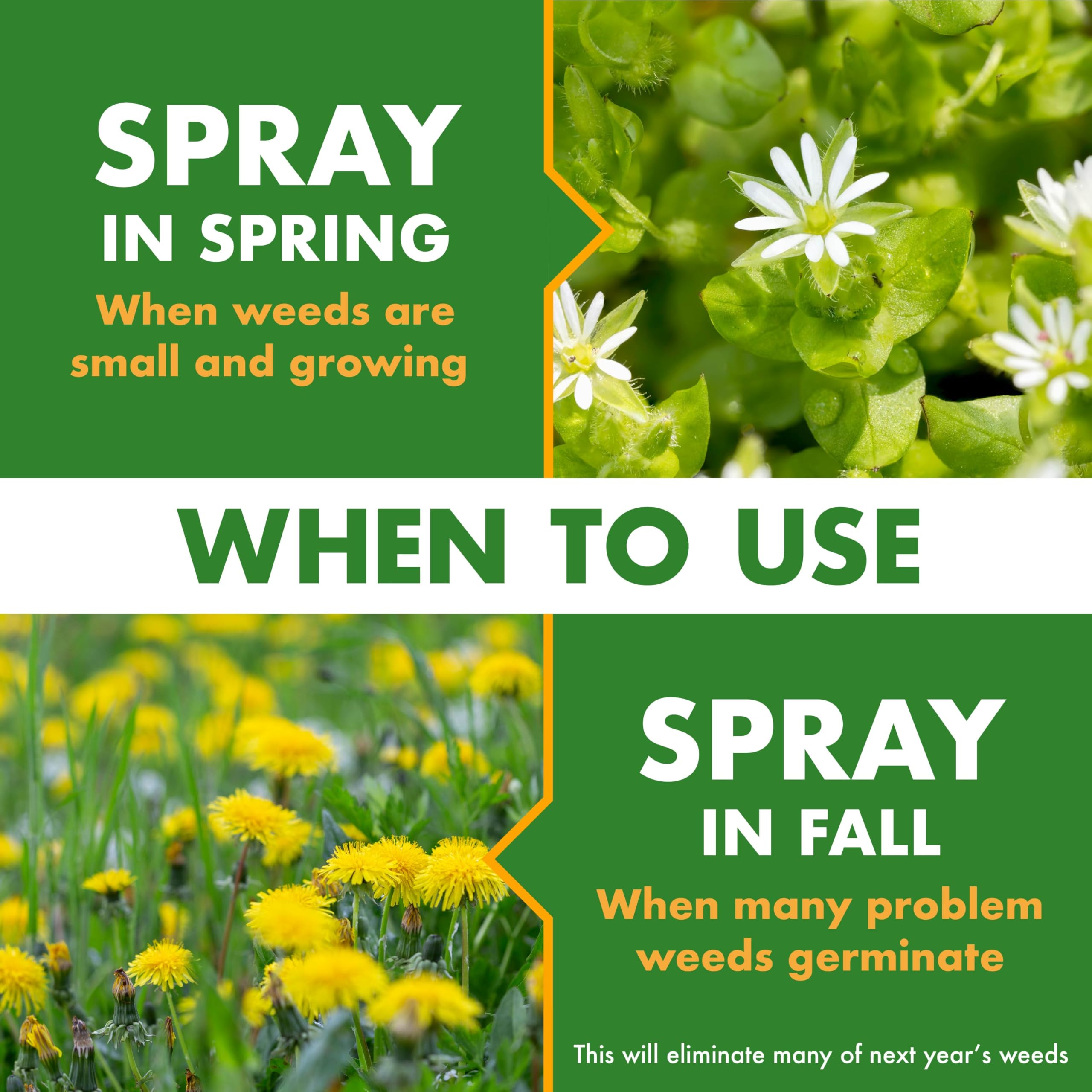 Spectracide Large Plot Weed Stop for Lawns Concentrate, 1 Gallon, Kills More Than 200 Types of Weeds as Listed - Image 6