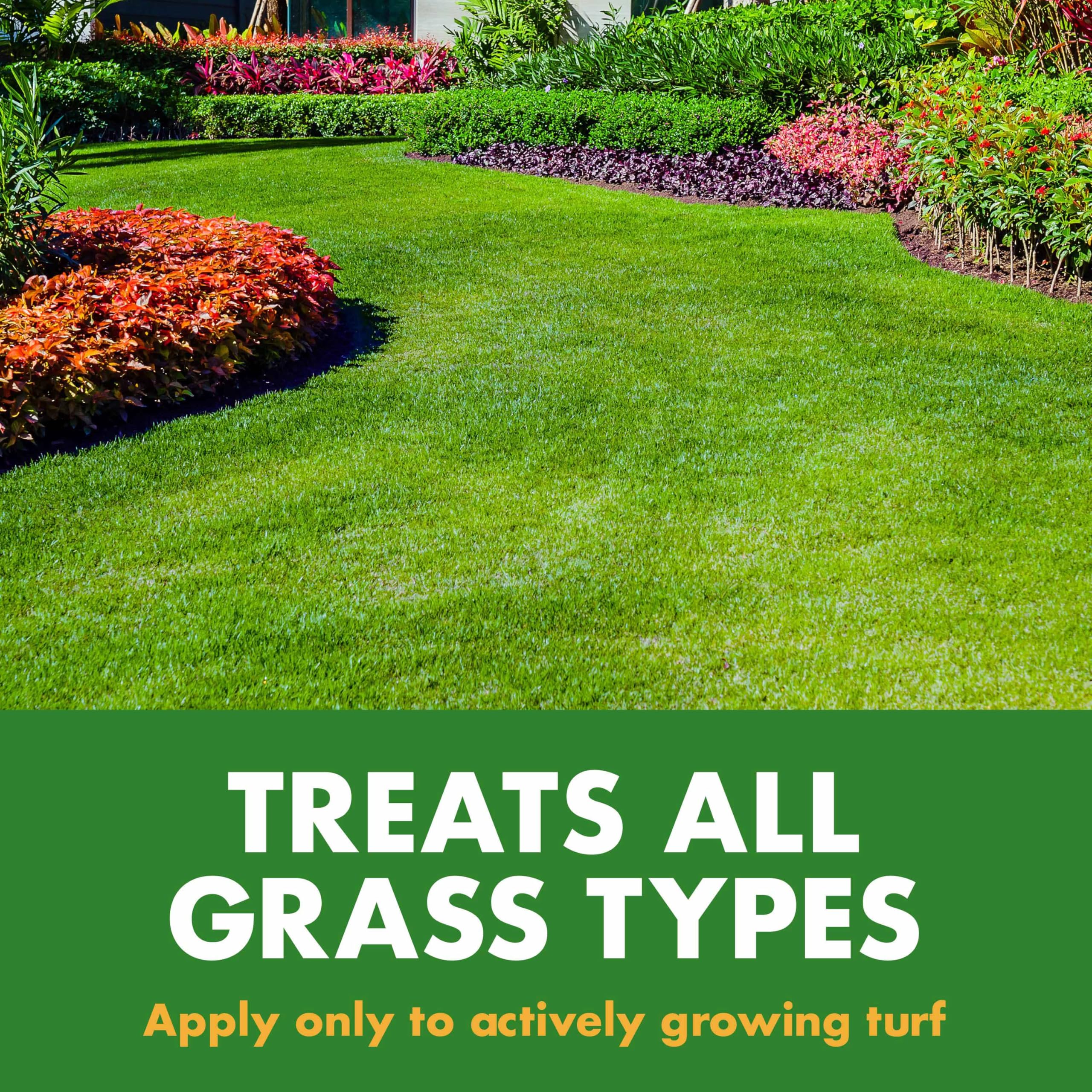Spectracide Lawn Fertilizer 30-0-0, 3 Count, 2-in-1 Formula Boosts Overall Lawn Strength, Promotes Thick, Green Growth Without Burning - Image 3