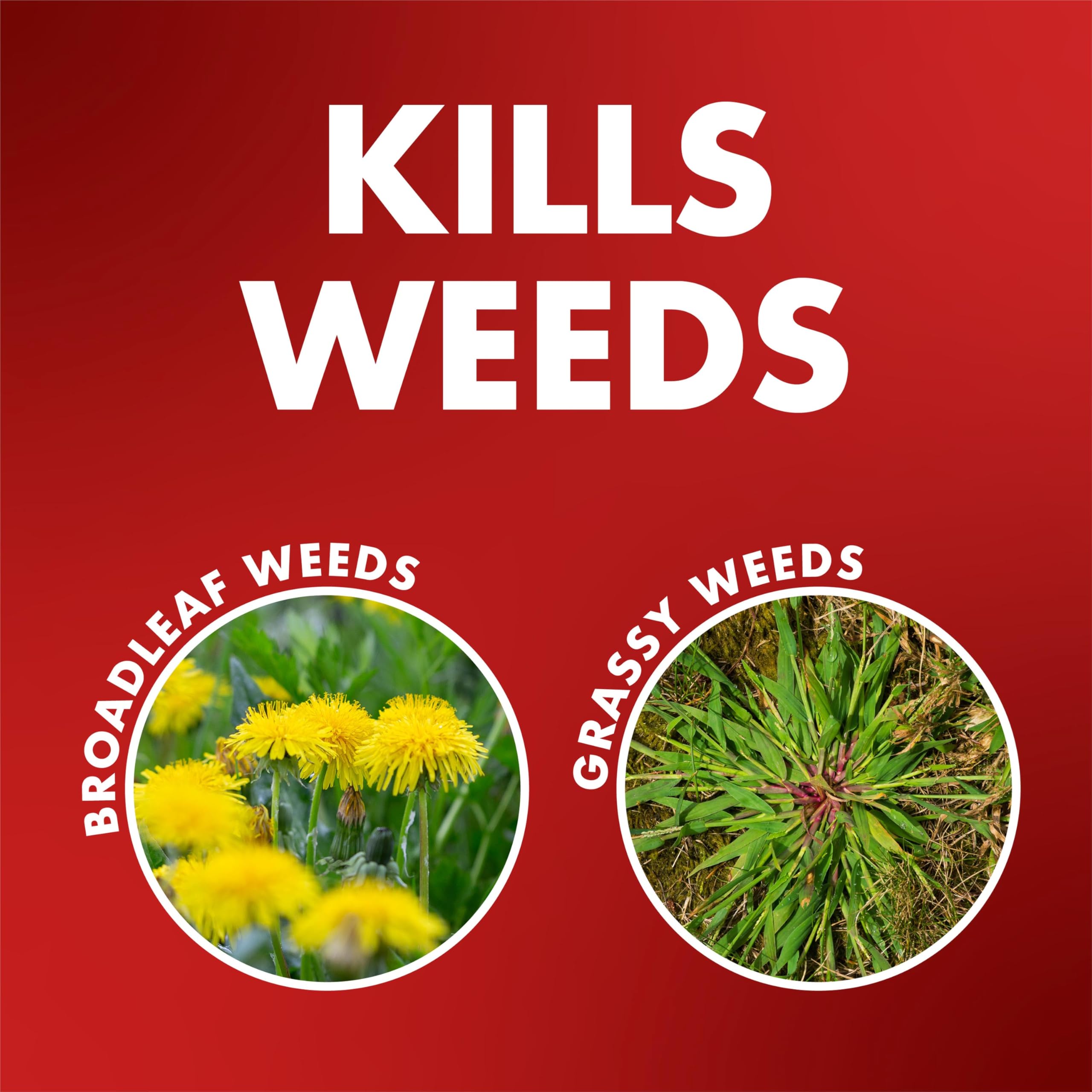 Spectracide One-Shot Weed & Grass Killer, 32 Ounce Concentrate, One Application Kills and Prevents Weeds for up to 5 Months - Image 5