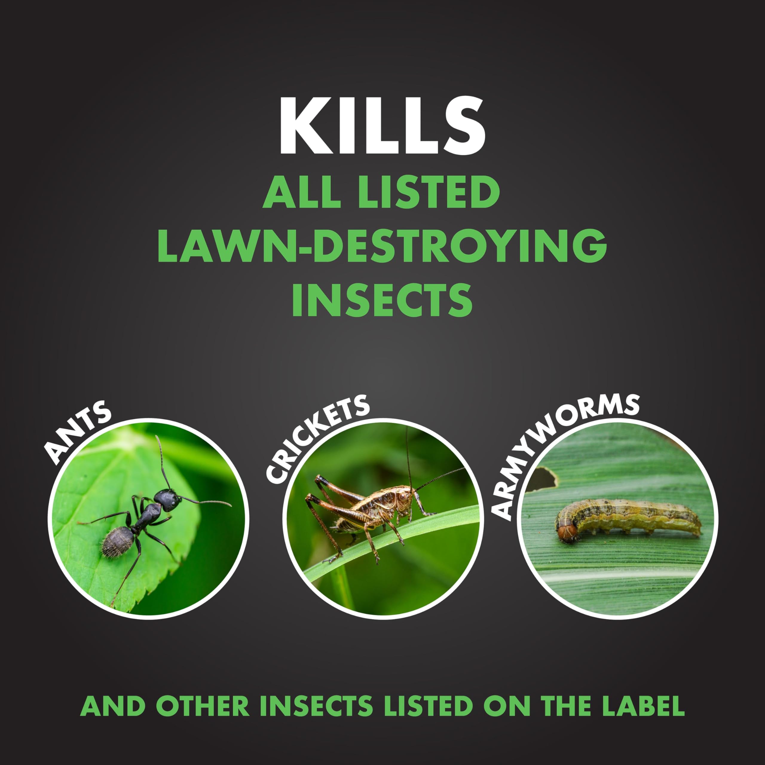 Spectracide Triazicide Insect Killer For Lawns, 10 Pounds, Granules Kill Listed Lawn-Damaging Insects, 4 Pack - Image 3