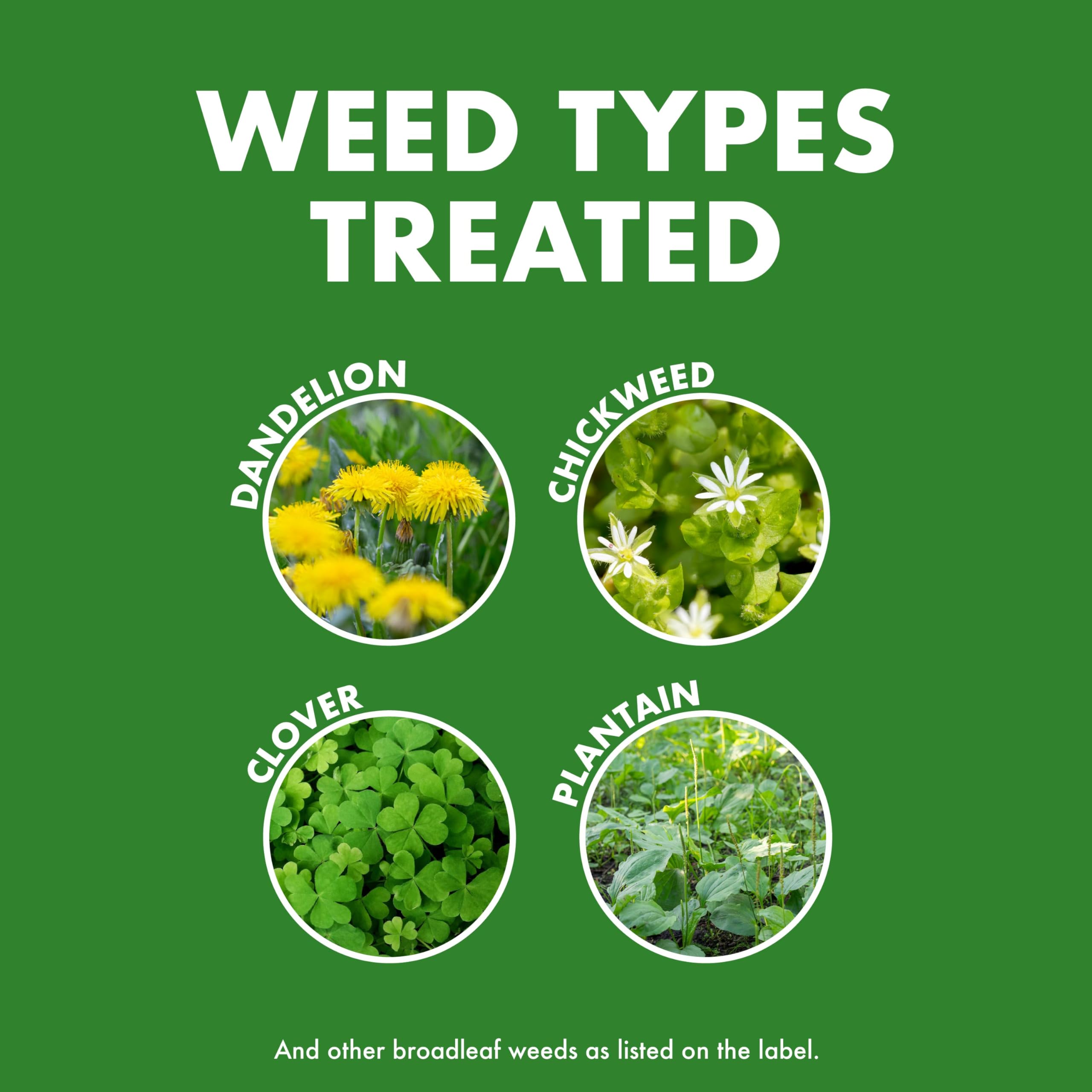 Spectracide Weed & Feed 20-0-0, 3 Count, Easy to Use QuickFlip Sprayer, Kills Weeds While Feeding Your Lawn, Kills Major Broadleaf Weeds Like Dandelion, Chickweed, Clover and Plantain - Image 3