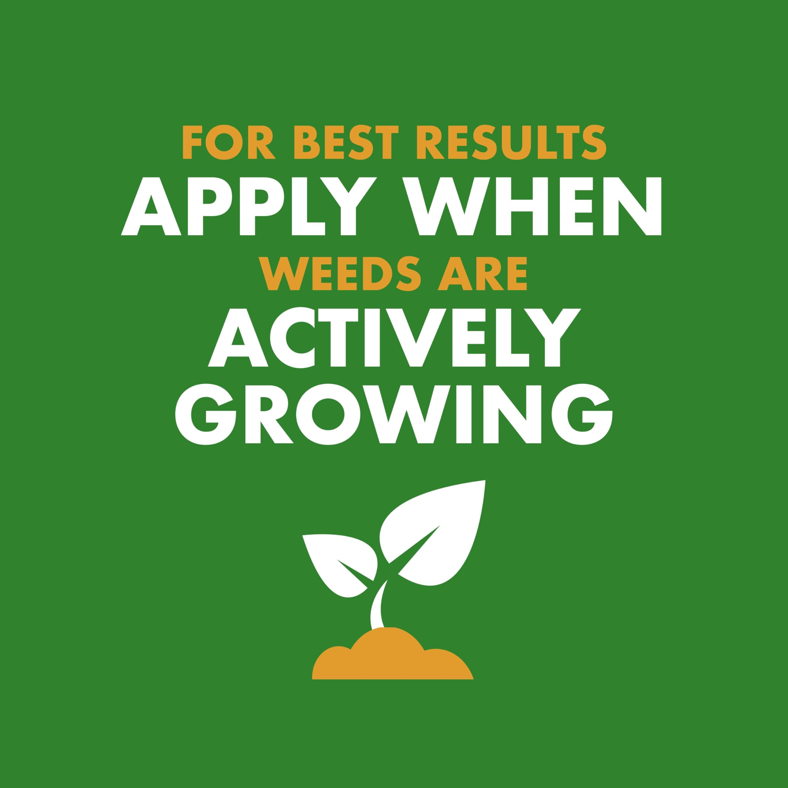 Spectracide Weed & Feed 20-0-0, 3 Count, Easy to Use QuickFlip Sprayer, Kills Weeds While Feeding Your Lawn, Kills Major Broadleaf Weeds Like Dandelion, Chickweed, Clover and Plantain - Image 5