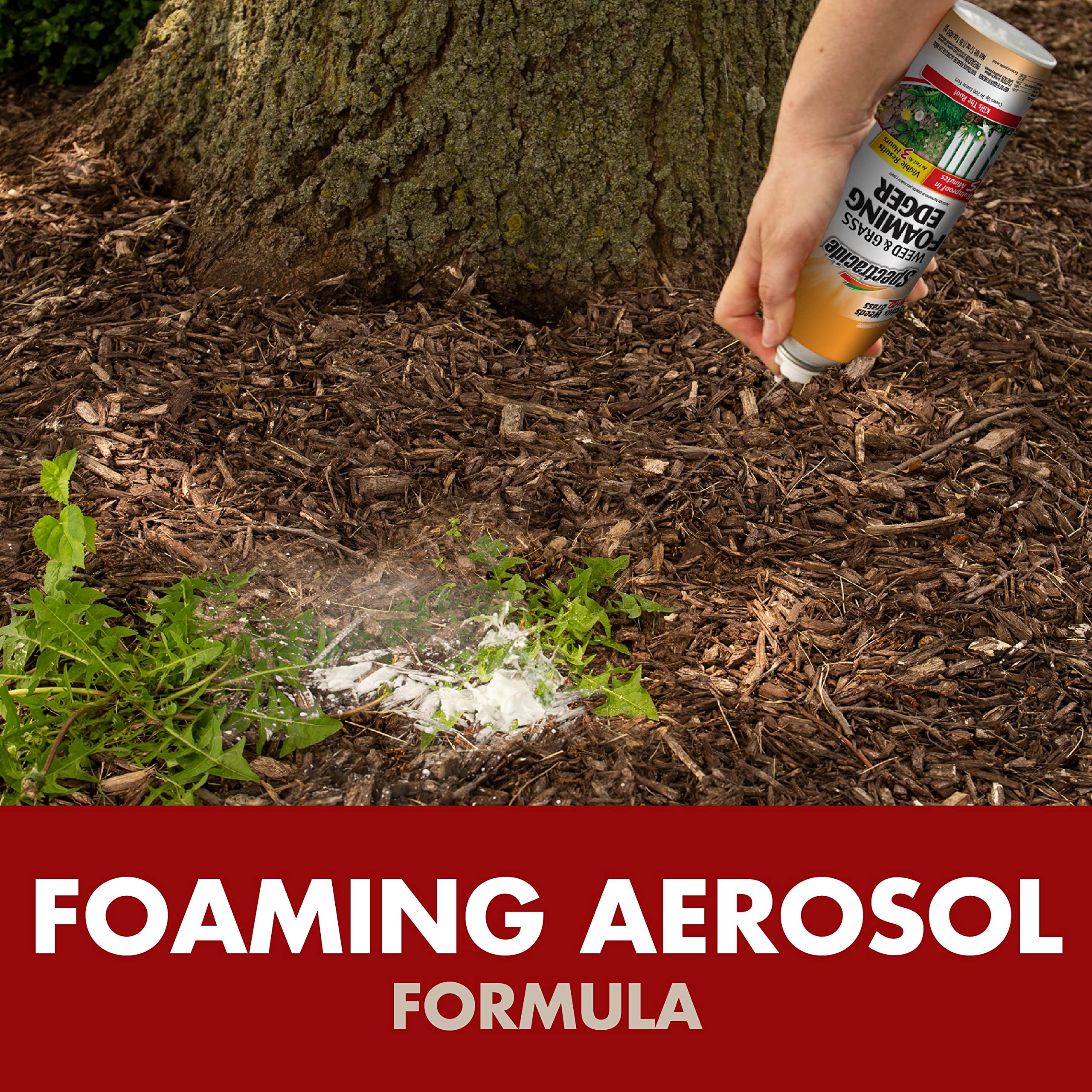 Spectracide Weed & Grass Foaming Edger (17 oz), 1 Count - Image 3